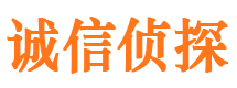 金沙诚信私家侦探公司